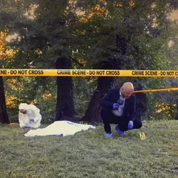 Forensic experts and a detective at a crime scene. The dead body is covered with a white sheet and is lying in the clearing in the middle of the forest. Studying moss found in such crime scenes can help solve cases. 