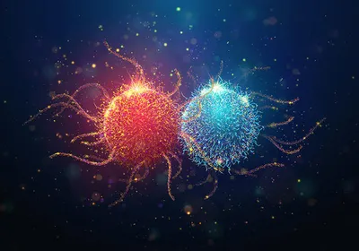 Abstract illustration of a red cancer cell interacting with a blue immune cell