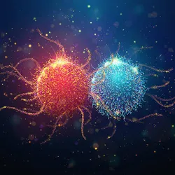 Abstract illustration of a red cancer cell interacting with a blue immune cell