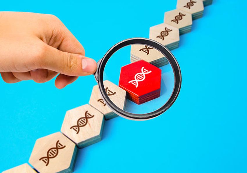 Photo of a series of hexagon blocks with DNA printed on them. A hand holds a magnifying glass over a red block, which represents a DNA mutation.