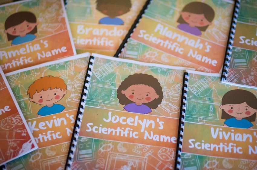 A few CuSTEMized books placed next to each other.