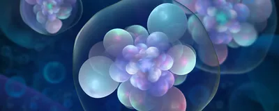 Microscopic view of vibrant blue and purple biological cells with clearly defined nuclei.