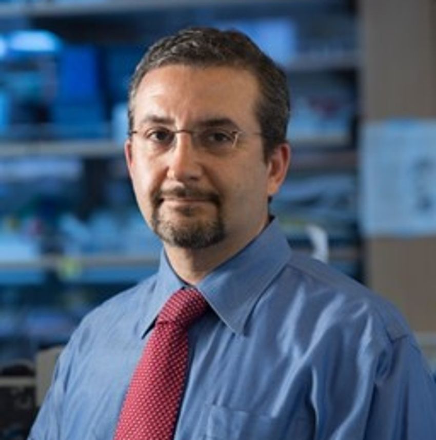 Ash Alizadeh, MD, PhD