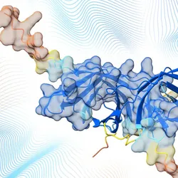 A protein 3D complex structure.