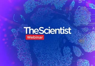 Go Beyond Bulk with Single-Cell RNA-Seq