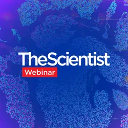 Go Beyond Bulk with Single-Cell RNA-Seq