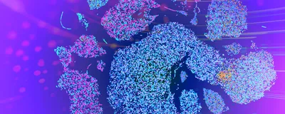 Go Beyond Bulk with Single-Cell RNA-Seq