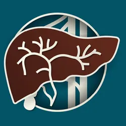 Image of a liver outline with white outlines of the gallbladder, ducts, and veins behind the liver.