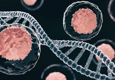 Stem cells floating around a double-stranded DNA helix