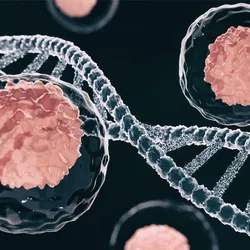 Stem cells floating around a double-stranded DNA helix