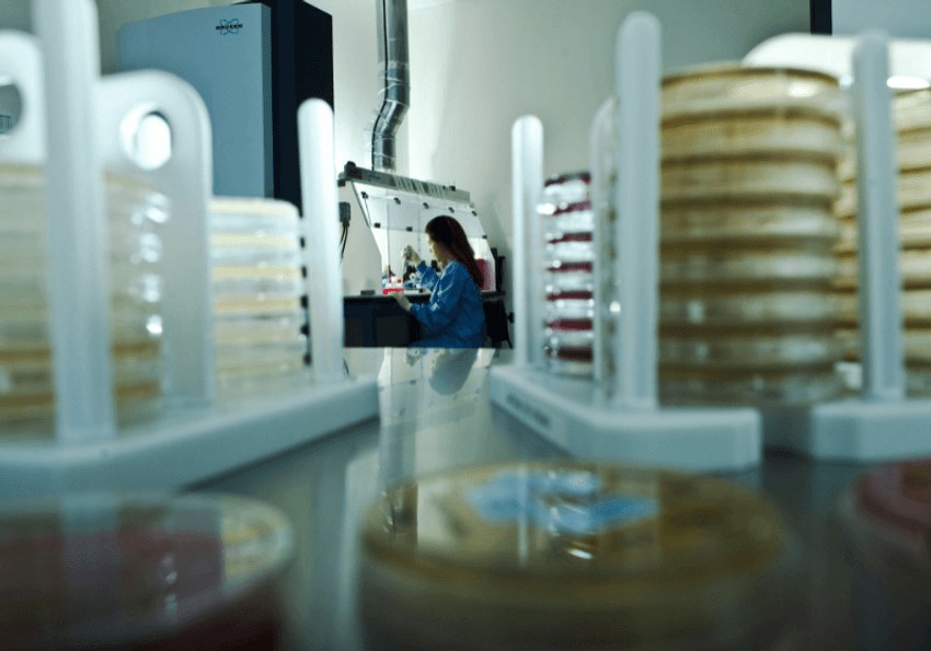 Conceptual image showing stacks of petri dishes in the foreground and a scientist working in the background.
