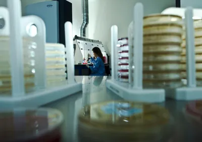 Conceptual image showing stacks of petri dishes in the foreground and a scientist working in the background.