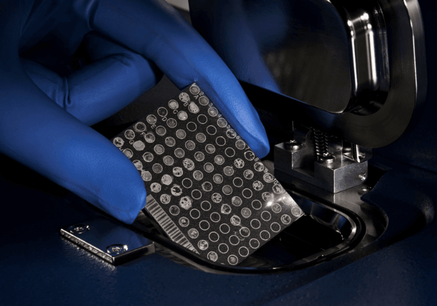 Gloved hand holding a microbial ID target plate.