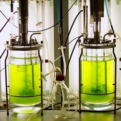 Two large, clear bioreactors are filled with green moss floating in water, with light tubes behind them.