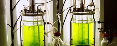Two large, clear bioreactors are filled with green moss floating in water, with light tubes behind them.