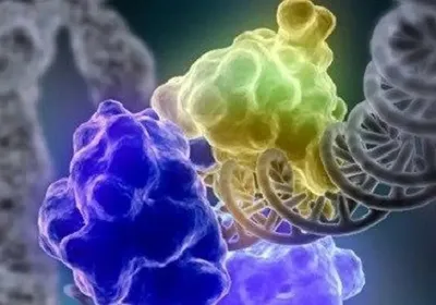 Illustration of CRISPR-based base editing, specifically DNA ligase, one of the cell proteins involved in repairing double-strand breaks in DNA.