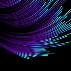 Abstract curved lines in purple and cyan