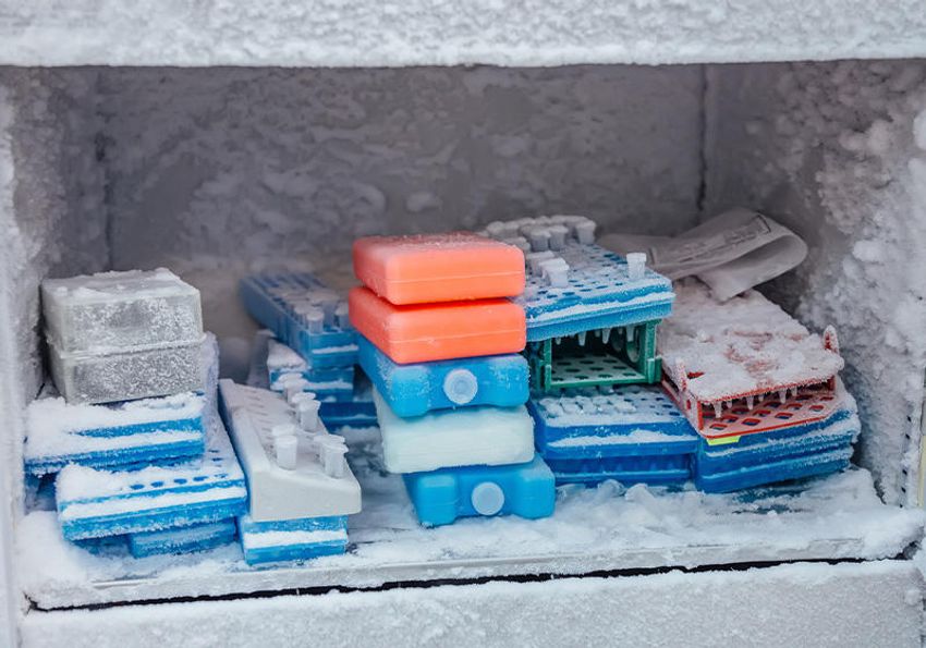 Photo of a messy and icy laboratory freezer holding racks, tubes, and sample storage boxes Photo of a messy and icy laboratory freezer holding racks, tubes, and sample storage boxes