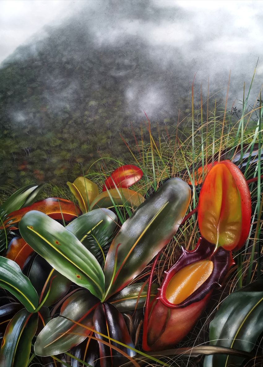 An oil painting of pitcher plants against a cloudy mountain backdrop.