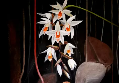 An oil painting of some flowers.