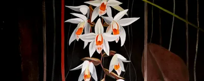 An oil painting of some flowers.