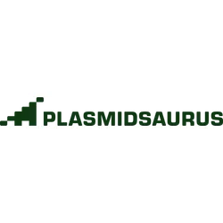 Plasmidsaurus Logo
