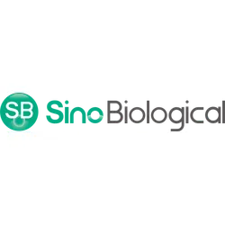 Sino Biological Logo Sino Biological Logo