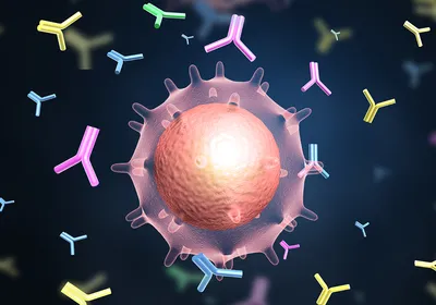A computer generated image of a single cell producing antibodies.