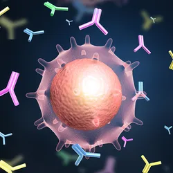 A computer generated image of a single cell producing antibodies. A computer generated image of a single cell producing antibodies.