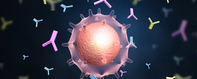 A computer generated image of a single cell producing antibodies.