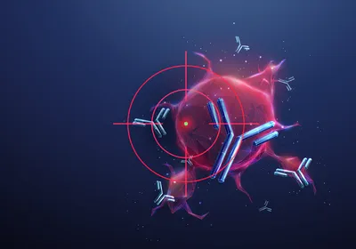 A cancer cell being targeted by antibodies