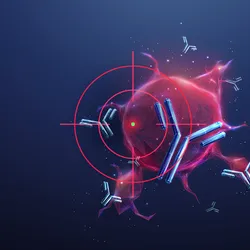 A cancer cell being targeted by antibodies A cancer cell being targeted by antibodies