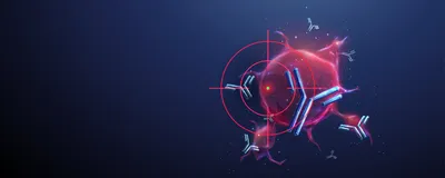 A cancer cell being targeted by antibodies
