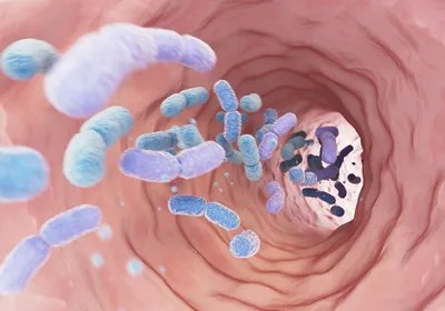 3D illustration of the inside of an intestine with light purple and blue bacteria shown moving through the space. 