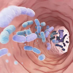 3D illustration of the inside of an intestine with light purple and blue bacteria shown moving through the space. 