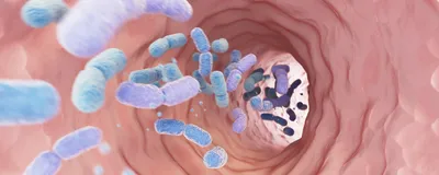 3D illustration of the inside of an intestine with light purple and blue bacteria shown moving through the space.