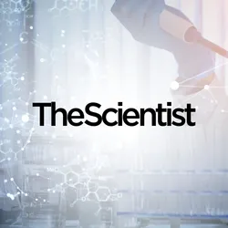 Modernizing R&D Data for AI and Regulatory Readiness Modernizing R&D Data for AI and Regulatory Readiness