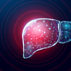 Digital illustration of a human liver with a glowing network and red highlighted lobe.