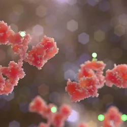 Graphic of multiple antibody-drug conjugates