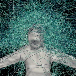 Trajectories of mosquitoes are shown in green as they fly around a human target in grey.