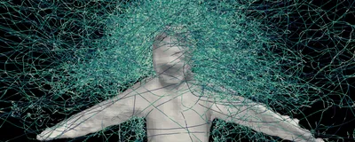Trajectories of mosquitoes are shown in green as they fly around a human target in grey.