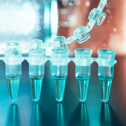 Photo of clear plastic tubes with liquid reagents for PCR inside