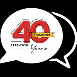 Image of two speech bubbles. Inside the full white speech bubble, there is red text denoting The Scientist 40 Years, 1986-2026.