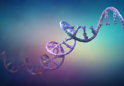 A twisting purple mRNA molecule on a blue and purple background.
