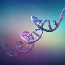A twisting purple mRNA molecule on a blue and purple background.