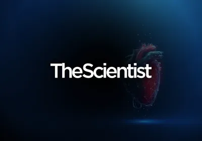 Light Sheet Imaging in Cardiac Disease Models