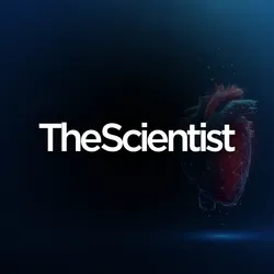 Light Sheet Imaging in Cardiac Disease Models
