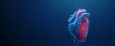 Light Sheet Imaging in Cardiac Disease Models