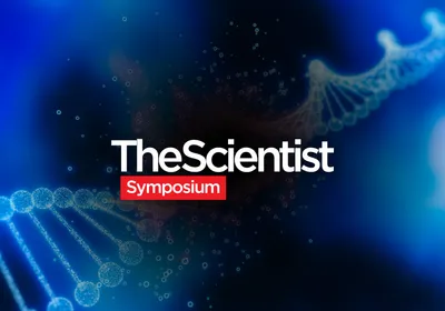 Tackling Translational Needs in Gene Editing
