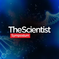 Tackling Translational Needs in Gene Editing